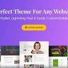 Astra Theme - Premium Wordpress Theme