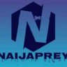 Download NaijaPrey Wordpress Theme