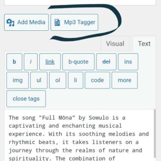 Self-Hosting Mp3 Tagger with Voice Plugin by Pedro