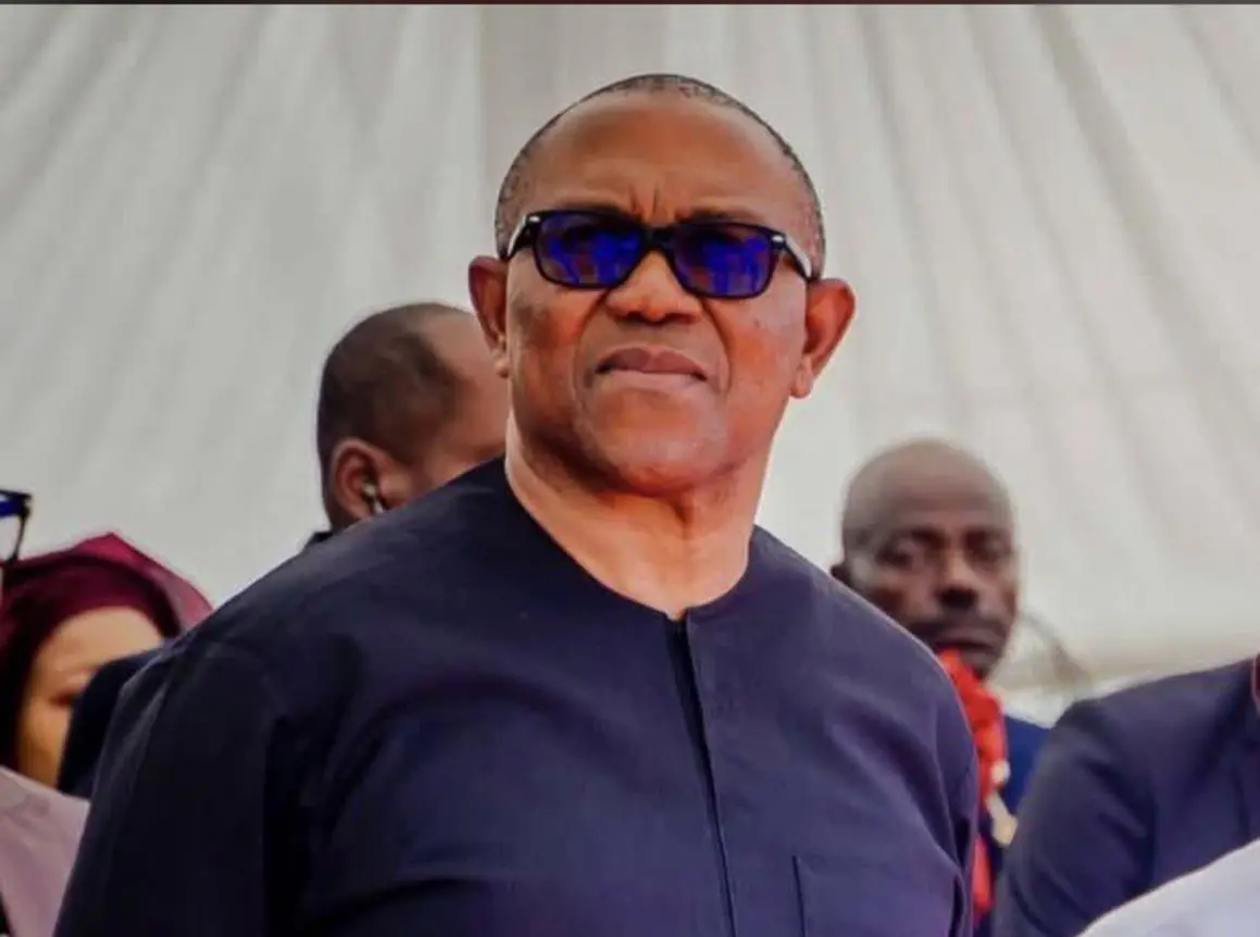 Presidency Rejects Peter Obi's Comparison of Borrowing to Leprosy, Cancer