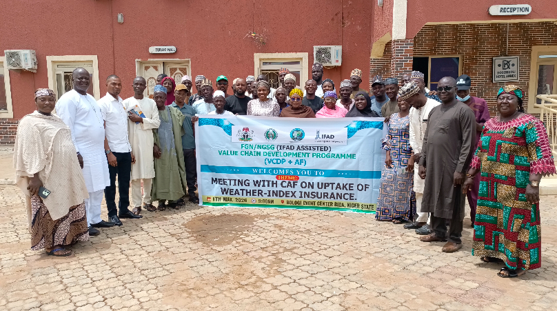 Niger Farmers Urgently Need Flexible Loans and Insurance, Says IFAD-VCDP