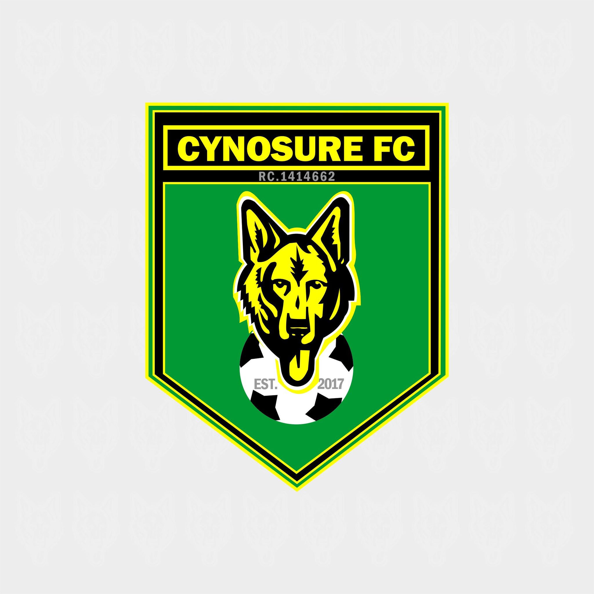 NLO Suspends Cynosure FC for Using Professional Players