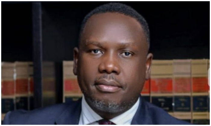 Presidential Aide Slams Opposition Figures for Undermining Tinubu's Leadership