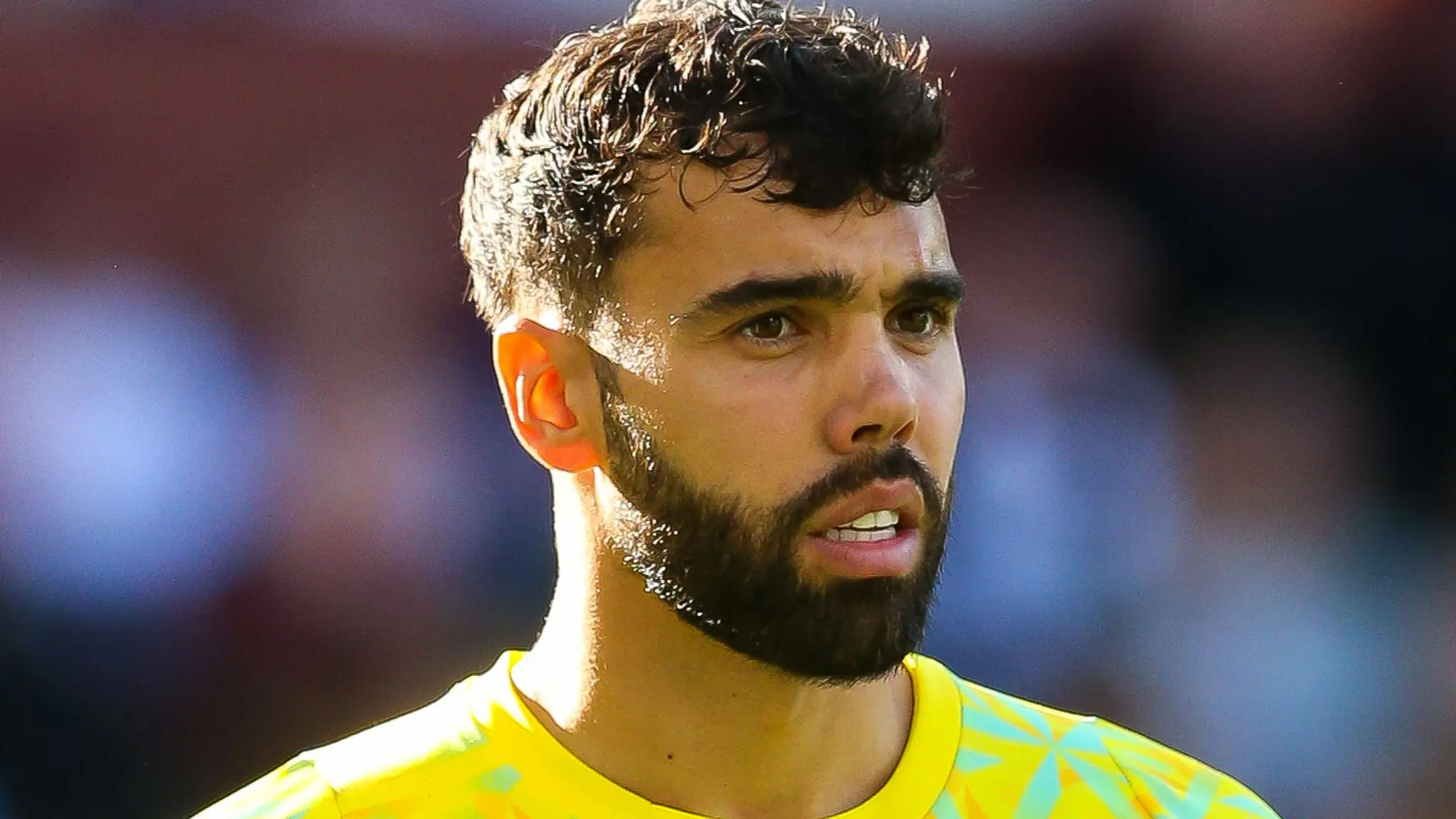 David Raya Wishes Karl Hein Well After Arsenal Exit to Werder Bremen