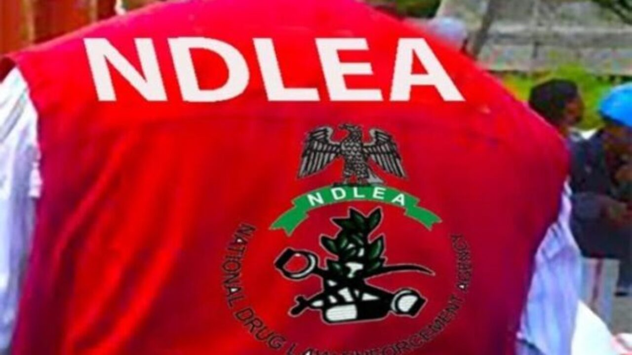 NDLEA intercepts drugs hidden in European water purifiers