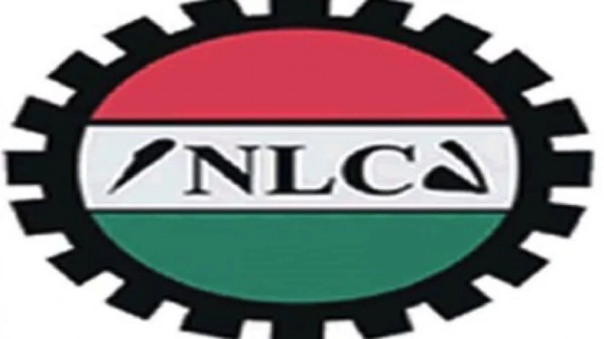 African Unions Urged to Combat Xenophobia in South Africa