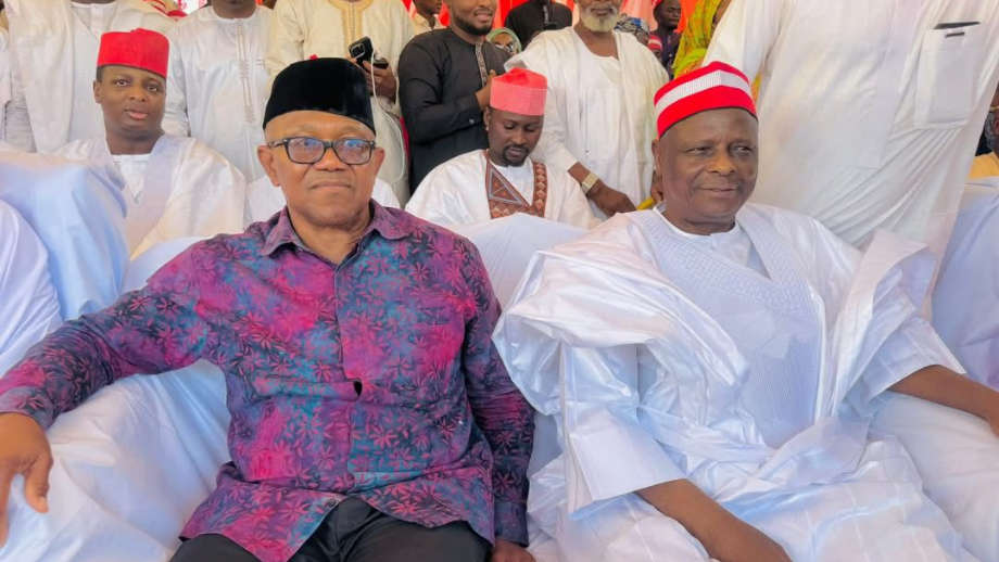 Presidency Blasts Peter Obi and Kwankwaso Over Lack of National Agenda