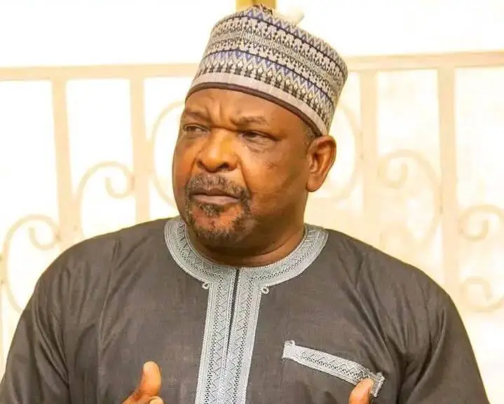 Ningi: Nigerians Should Retaliate Against South Africa for Xenophobia