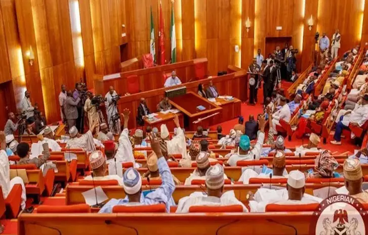 Nigeria's Senate Blasts Abductions of Students as Attack on Nation's Future