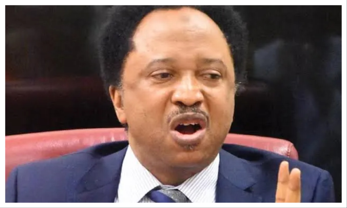 Senator Shehu Sani Urges More Counter-Terrorism Efforts After Joint US-Nigeria Strike Kills ISIS Deputy