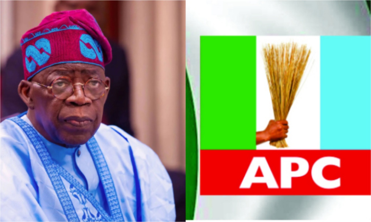 President Tinubu Commends APC Primaries for Strengthening Internal Democracy