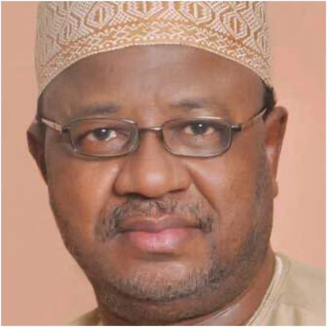 Umar Ardo Details Reasons for Opposing NDC Registration by INEC