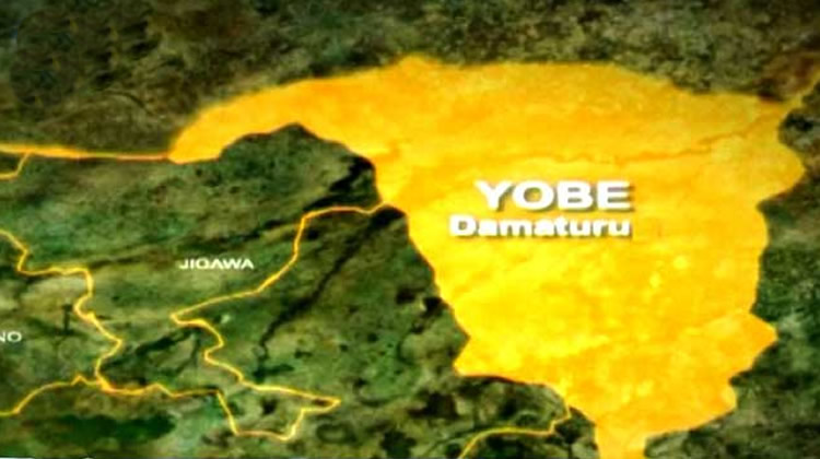 17 Police Officers Killed in Terror Attack on Yobe Army School