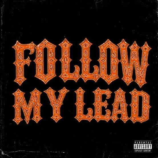 Zerrydl – Follow My Lead