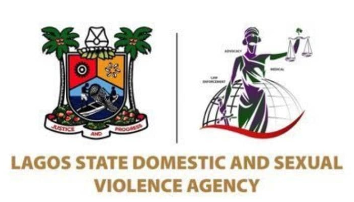 Lagos DSVA logs over 450 domestic violence complaints each month