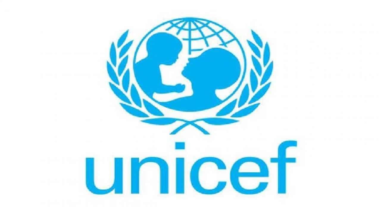 UNICEF Warns Poor Early Childhood Education Threatens North West Nigeria's Future