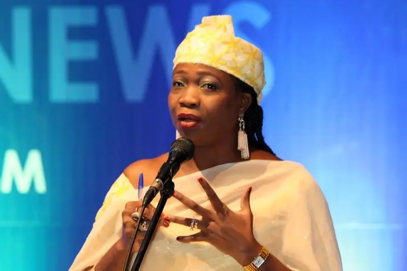 Nigeria to Bring Back Over 1,000 Citizens from South Africa, Says NiDCOM