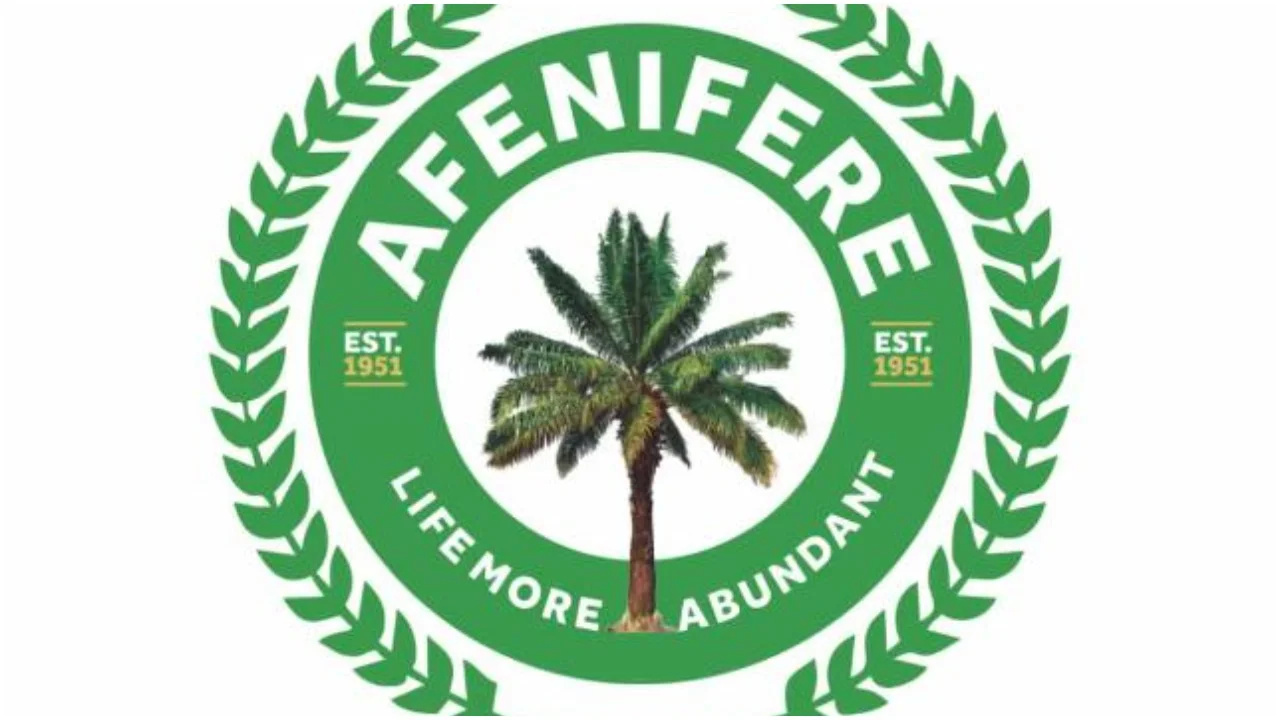 Afenifere Blames Northern Leaders for Nigeria's Escalating Security Crisis