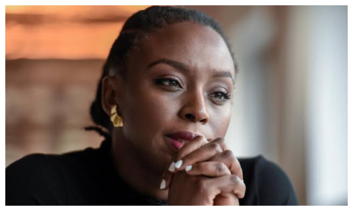 Euracare Robbed Me of Peace, Says Chimamanda Adichie Over Son's Death Inquest