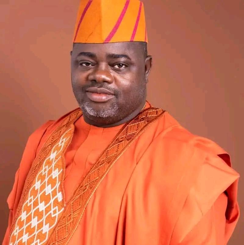 Lagos Labour Leader Domingo Michael Adeleke Dies at Geneva Conference