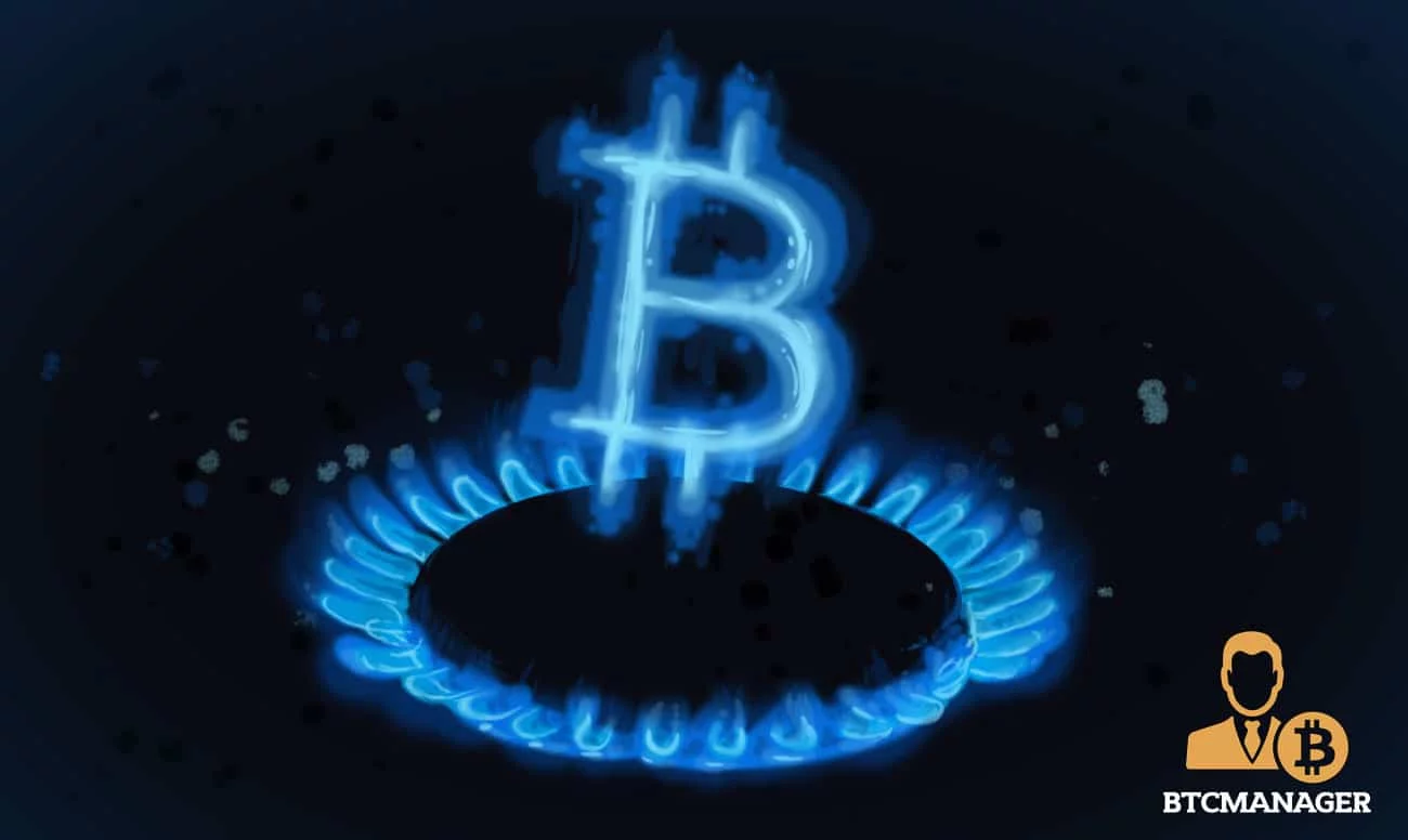 David Schwartz Clarifies 'Abandoned' Zcash Holdings Amid Orchard Bug Fallout