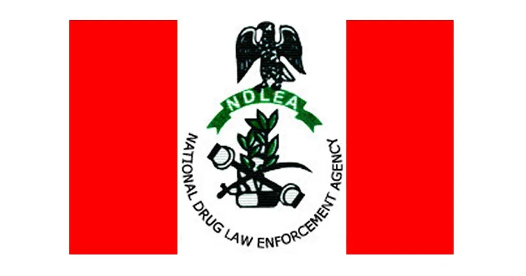 NDLEA warns drug abuse now a national emergency in Nigeria