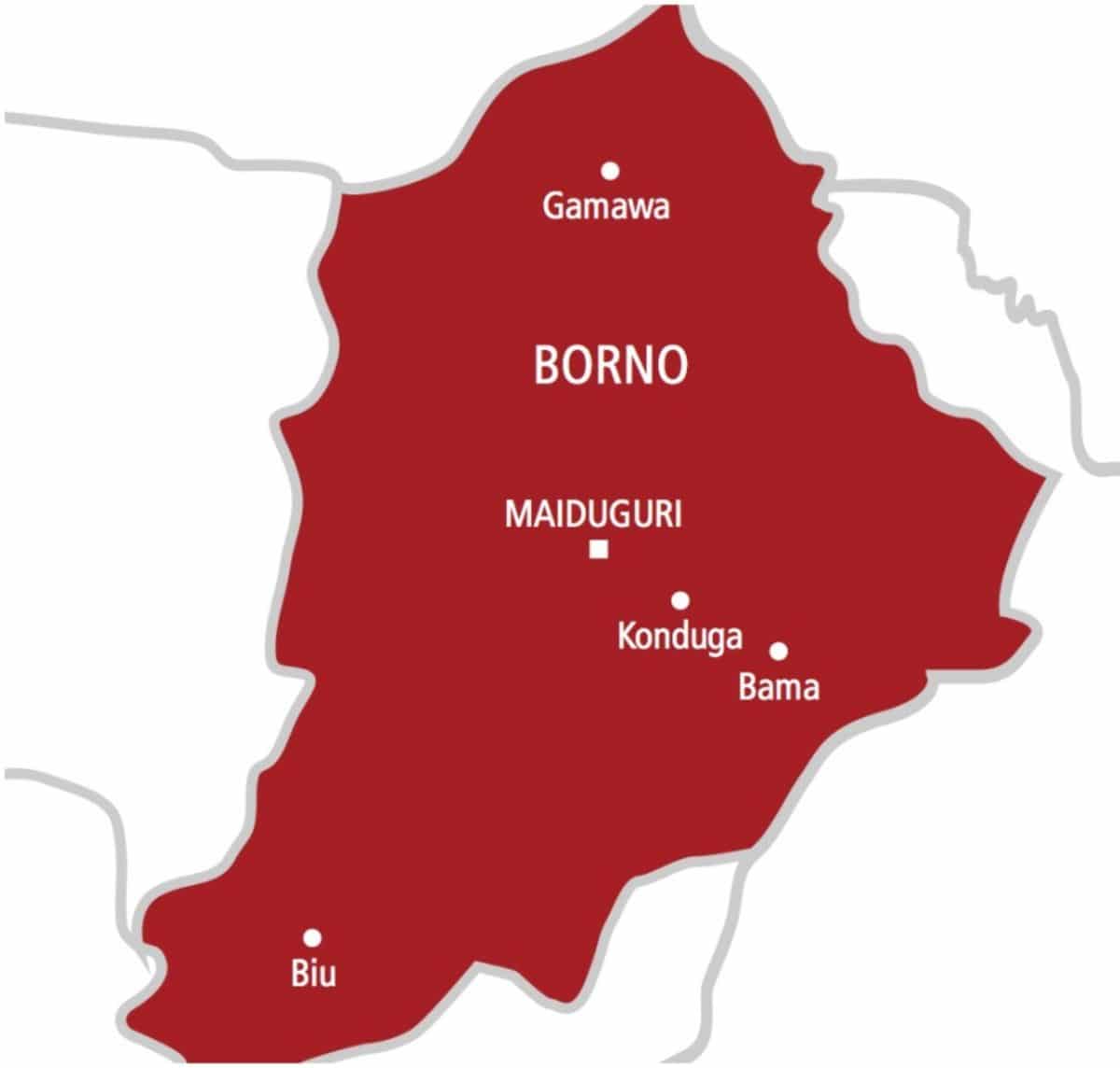 Borno Hostages Recount Hunger, Cold, and Fear During Months in Captivity