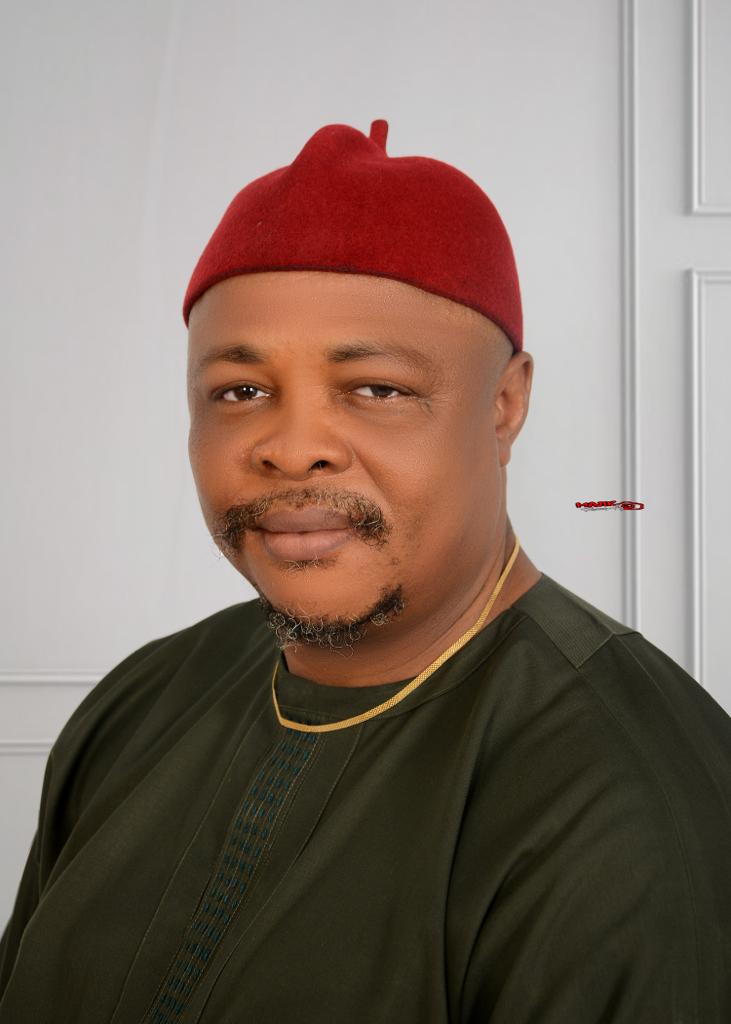 Court Ruling Against ADC Could Jeopardize 2027 Elections, Warns AA Chair Udeze